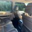 Land rover autobiography 6 Land rover autobiography 6
